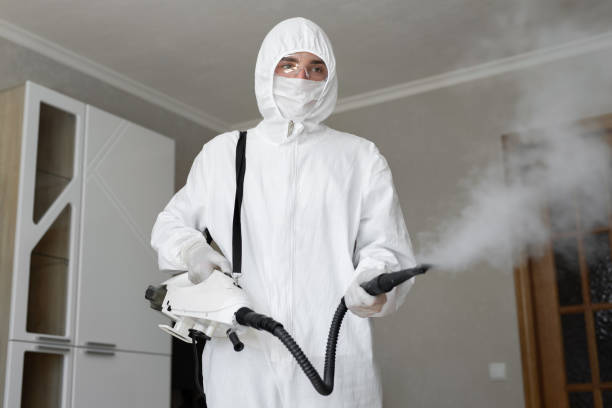 Asbestos and Lead Testing During Mold Inspection in Rock Hill, MO